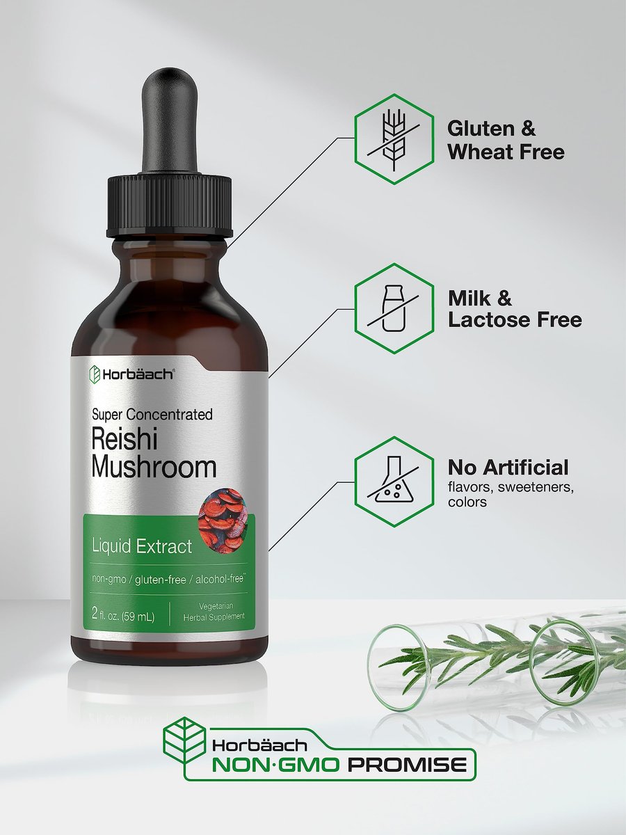 Horbäach Reishi Pilz Extrakt Tinktur | 60 ml | Flüssige Tropfen | Ganoderma Lucidum | Vegan, Alkoholfrei | Nicht-GVO, Glutenfrei Nahrungsergänzungsmittel