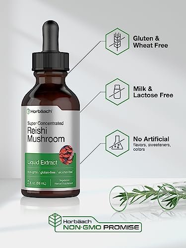 Horbäach Reishi Pilz Extrakt Tinktur | 60 ml | Flüssige Tropfen | Ganoderma Lucidum | Vegan, Alkoholfrei | Nicht-GVO, Glutenfrei Nahrungsergänzungsmittel