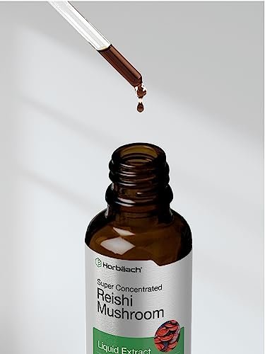 Horbäach Reishi Pilz Extrakt Tinktur | 60 ml | Flüssige Tropfen | Ganoderma Lucidum | Vegan, Alkoholfrei | Nicht-GVO, Glutenfrei Nahrungsergänzungsmittel