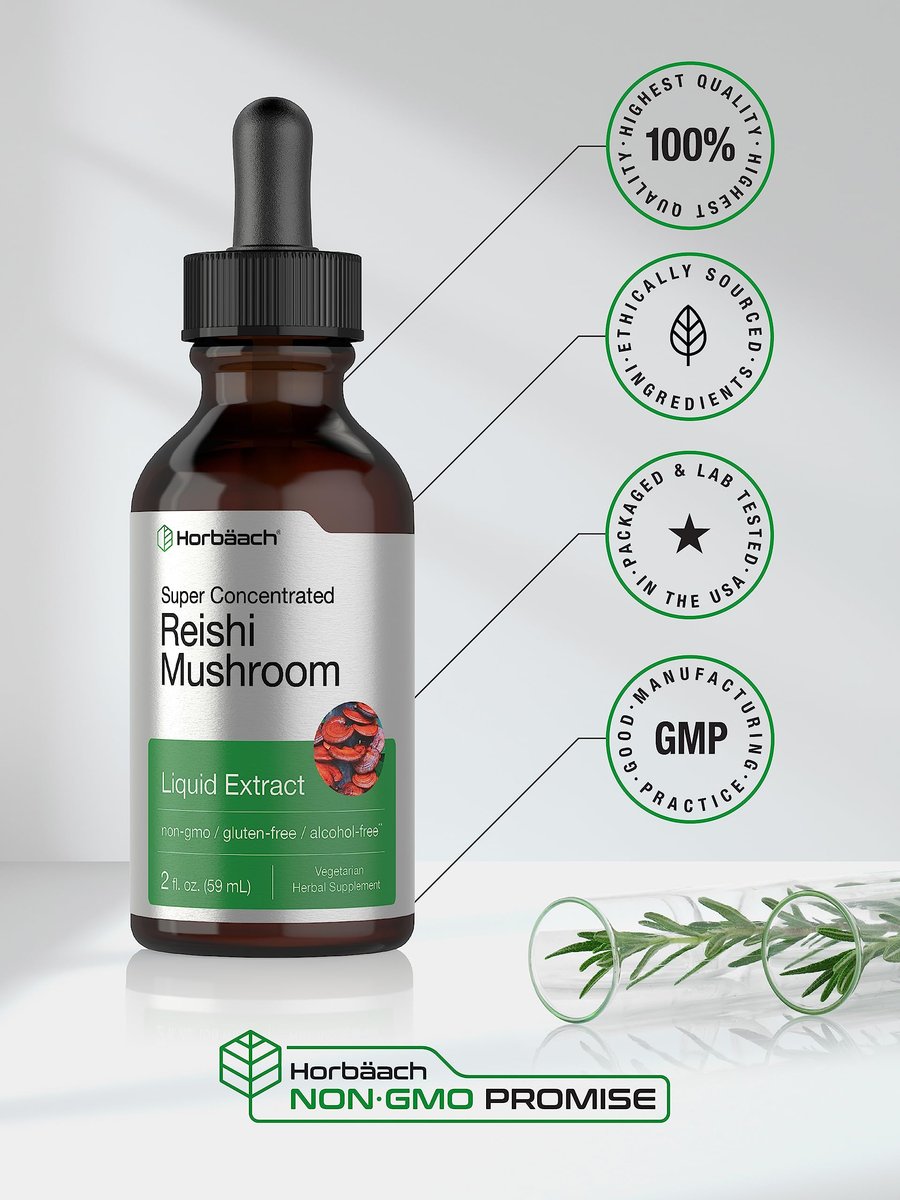 Horbäach Reishi Pilz Extrakt Tinktur | 60 ml | Flüssige Tropfen | Ganoderma Lucidum | Vegan, Alkoholfrei | Nicht-GVO, Glutenfrei Nahrungsergänzungsmittel