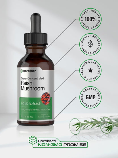 Horbäach Reishi Pilz Extrakt Tinktur | 60 ml | Flüssige Tropfen | Ganoderma Lucidum | Vegan, Alkoholfrei | Nicht-GVO, Glutenfrei Nahrungsergänzungsmittel