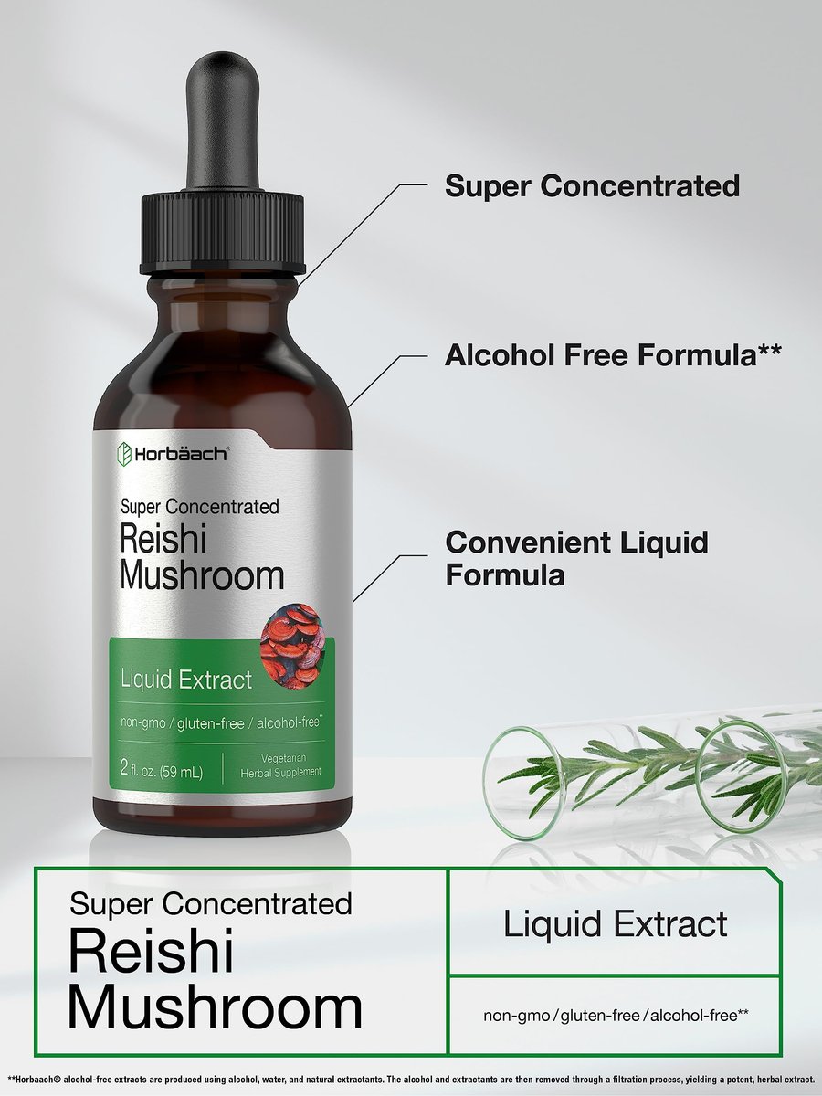 Horbäach Reishi Pilz Extrakt Tinktur | 60 ml | Flüssige Tropfen | Ganoderma Lucidum | Vegan, Alkoholfrei | Nicht-GVO, Glutenfrei Nahrungsergänzungsmittel