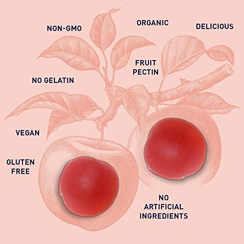 Garden of Life Bio- Apfelessig Probiotikum Gummibärchen - USDA Bio, 2 Milliarden KBE, Vitamin B12 - 60 vegane, nicht-GVO Gummis für Verdauung & Immunsystem