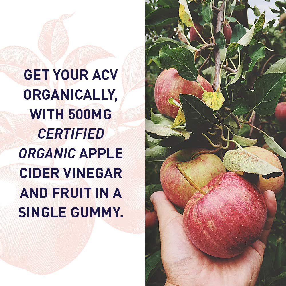 Garden of Life Organics Apfelessig Gummibärchen mit Vitamin B12 – Bio ACV Gummivitamine, Vegan, Glutenfrei, Nicht-GVO, 60 Gummis
