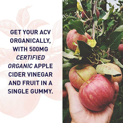 Garden of Life Organics Apfelessig Gummibärchen mit Vitamin B12 – Bio ACV Gummivitamine, Vegan, Glutenfrei, Nicht-GVO, 60 Gummis