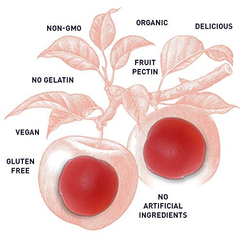 Garden of Life Organics Apfelessig Gummibärchen mit Vitamin B12 – Bio ACV Gummivitamine, Vegan, Glutenfrei, Nicht-GVO, 60 Gummis