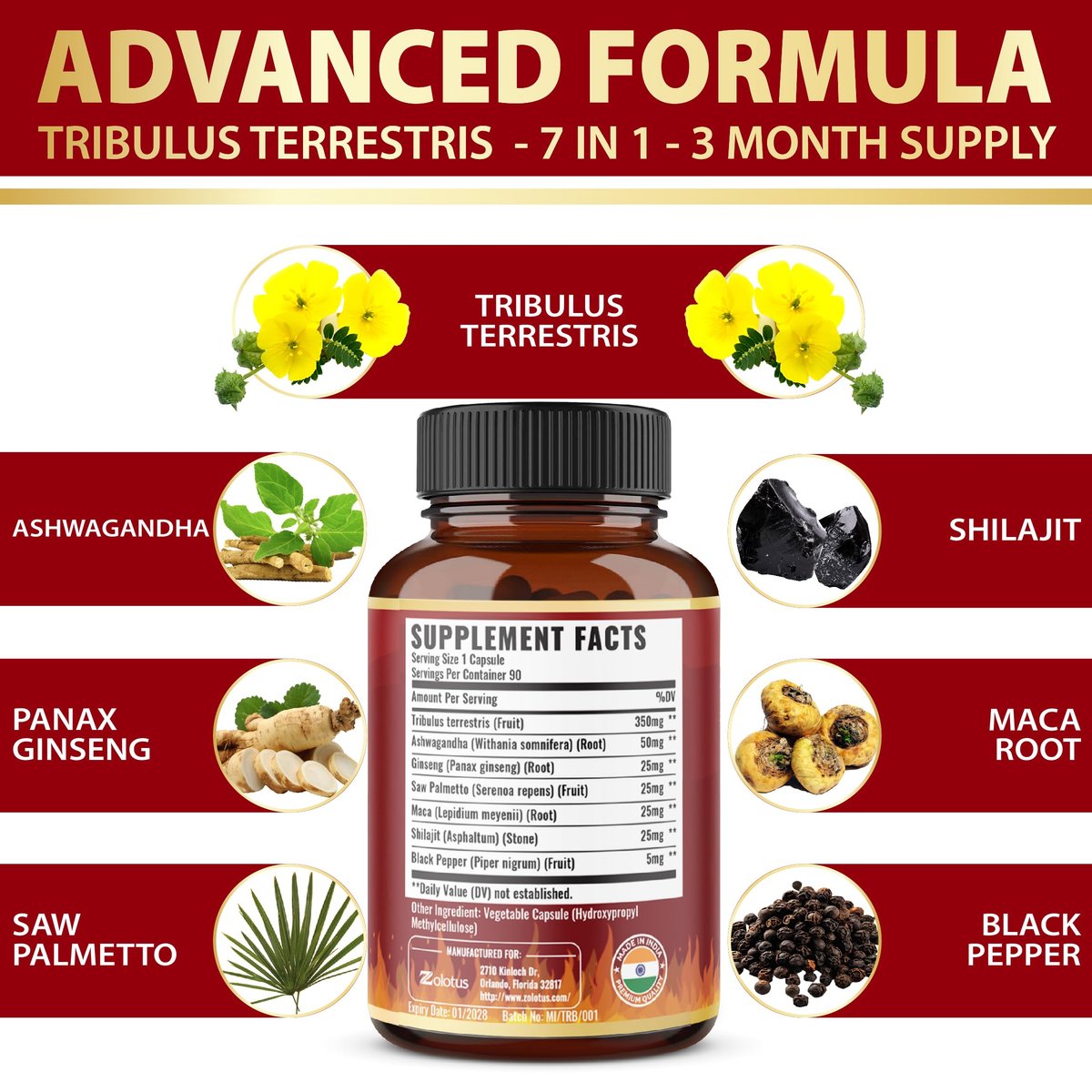 Tribulus Terrestris Kapseln mit Ashwagandha, Panax Ginseng, Sägepalme, Maca, Shilajit – 90 Kapseln – 3 Monate Vorrat