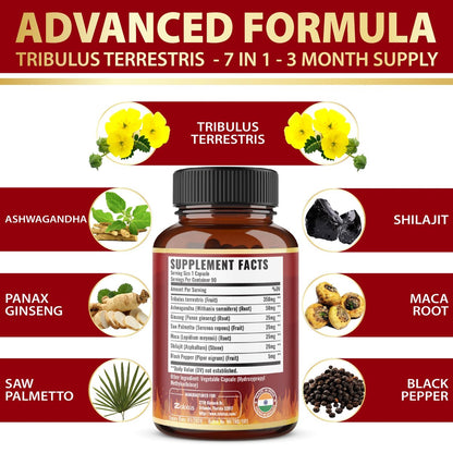 Tribulus Terrestris Kapseln mit Ashwagandha, Panax Ginseng, Sägepalme, Maca, Shilajit – 90 Kapseln – 3 Monate Vorrat