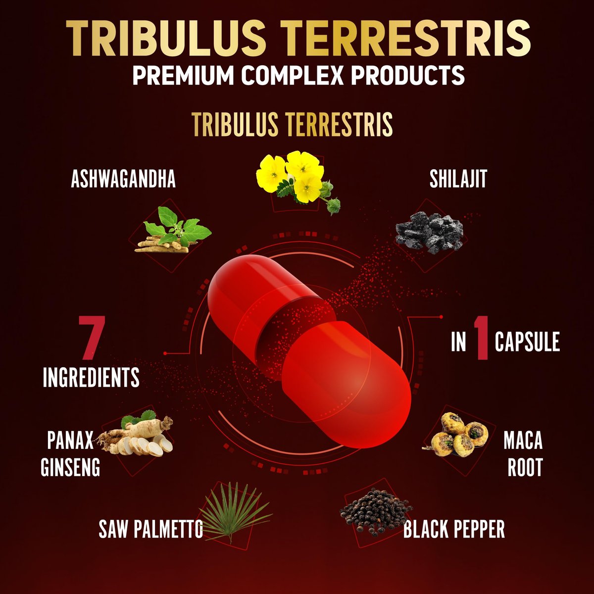 Tribulus Terrestris Kapseln mit Ashwagandha, Panax Ginseng, Sägepalme, Maca, Shilajit – 90 Kapseln – 3 Monate Vorrat