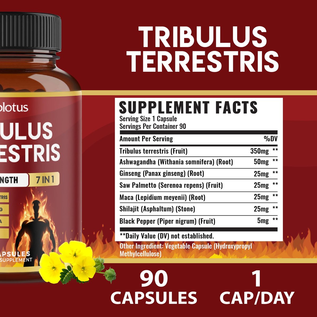 Tribulus Terrestris Kapseln mit Ashwagandha, Panax Ginseng, Sägepalme, Maca, Shilajit – 90 Kapseln – 3 Monate Vorrat