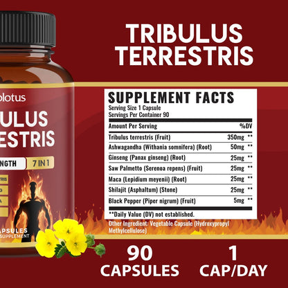 Tribulus Terrestris Kapseln mit Ashwagandha, Panax Ginseng, Sägepalme, Maca, Shilajit – 90 Kapseln – 3 Monate Vorrat