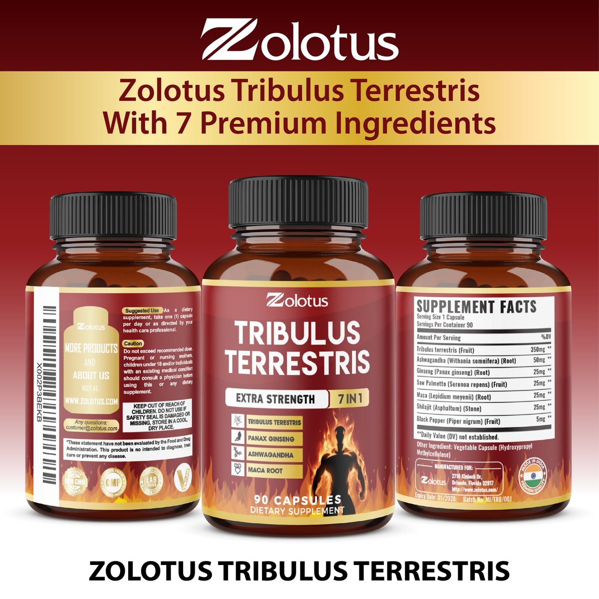 Tribulus Terrestris Kapseln mit Ashwagandha, Panax Ginseng, Sägepalme, Maca, Shilajit – 90 Kapseln – 3 Monate Vorrat
