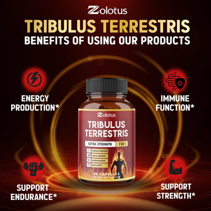 Tribulus Terrestris Kapseln mit Ashwagandha, Panax Ginseng, Sägepalme, Maca, Shilajit – 90 Kapseln – 3 Monate Vorrat