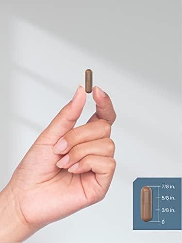 Horbäach Hyaluronsäure mit MSM | 1000 mg | 120 Kapseln | Nicht-GVO und glutenfrei | Bioverfügbare Formel