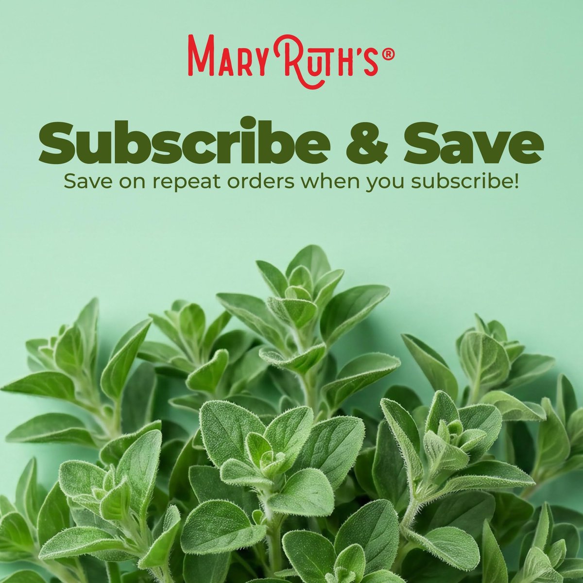 MaryRuth Organics Oregano Öl Tropfen | 6 Monate Vorrat | USDA Bio Oreganoöl flüssig | Kräutermischung für Immununterstützung | Verdauungsgesundheit | Allgemeines Wohlbefinden | Vegan | Zuckerfrei | Non-GMO | 30 ml