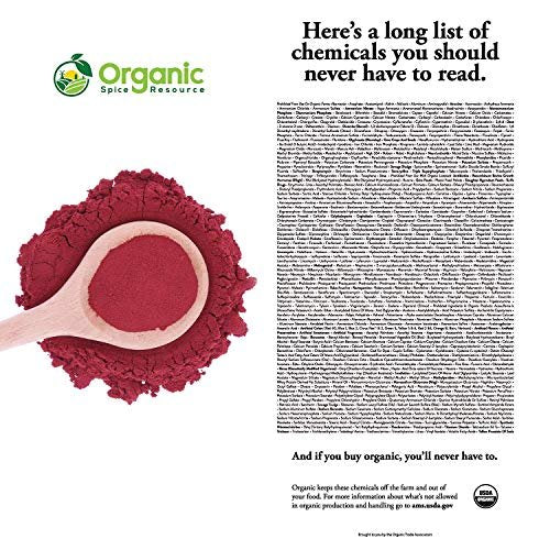 Bio Rote Bete Pulver | 226 g | USDA Bio, Roh & Non-GMO | Stickstoffmonoxid-Booster für Ausdauer & Durchblutung | Vegan | 100% Roh aus Indien