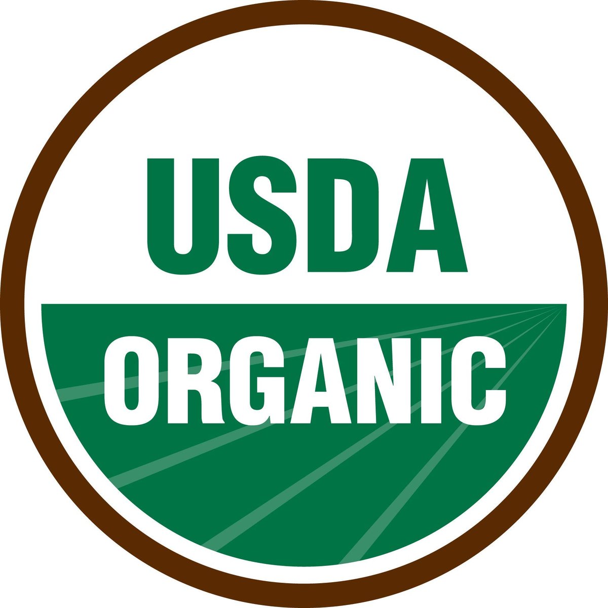 Bio Rote Bete Pulver | 226 g | USDA Bio, Roh & Non-GMO | Stickstoffmonoxid-Booster für Ausdauer & Durchblutung | Vegan | 100% Roh aus Indien