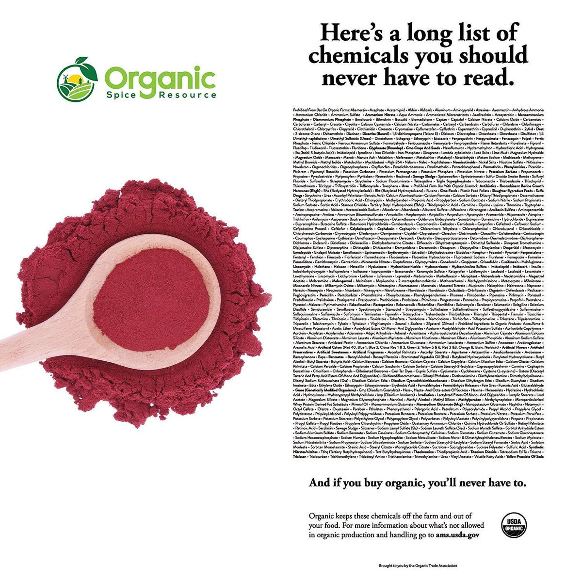 Bio Rote Bete Pulver | 226 g | USDA Bio, Roh & Non-GMO | Stickstoffmonoxid-Booster für Ausdauer & Durchblutung | Vegan | 100% Roh aus Indien