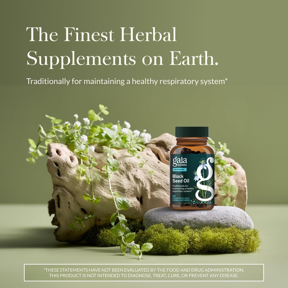 Gaia Herbs Schwarzkümmelöl Kapseln – Kaltgepresstes Nigella-Samenöl zur Unterstützung von Lunge, Atemwegen und Antioxidantien – 60 vegane Liquid-Phyto-Kapseln (30 Portionen)