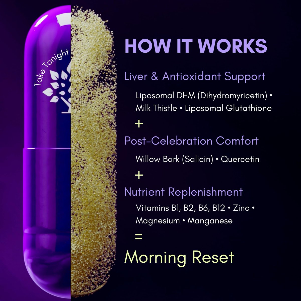 purple tree Wellness für nach der Feier – Leberunterstützung & Hydration | Liposomales Dihydromyricetin (DHM), L-Glutathion, Mariendistel, B-Vitamine, Mineralien, Weidenrinde | 30 Kapseln