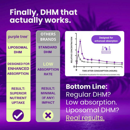 purple tree Wellness für nach der Feier – Leberunterstützung & Hydration | Liposomales Dihydromyricetin (DHM), L-Glutathion, Mariendistel, B-Vitamine, Mineralien, Weidenrinde | 30 Kapseln