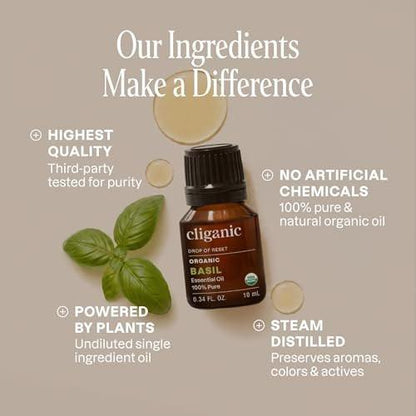 Cliganic Bio Basilikum Öl, 100% rein natürlich für Aromatherapie | Non-GMO verifiziert