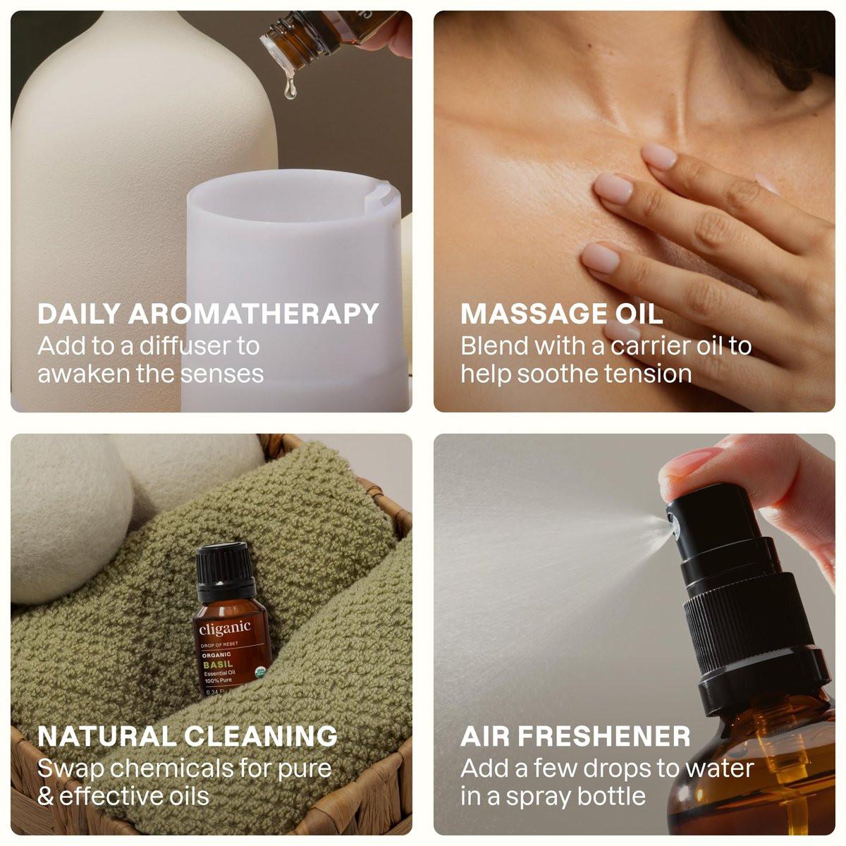 Cliganic Bio Basilikum Öl, 100% rein natürlich für Aromatherapie | Non-GMO verifiziert