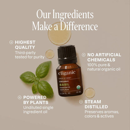 Cliganic Bio Basilikum Öl, 100% rein natürlich für Aromatherapie | Non-GMO verifiziert