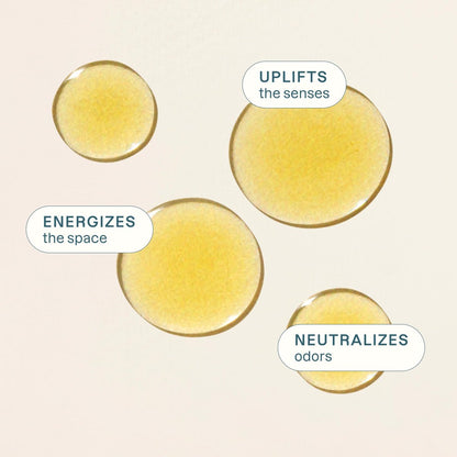 Cliganic Bio Süßorangen-Öl, 118 ml - 100% reines natürliches ätherisches Öl für Aromatherapie-Diffuser | Non-GMO zertifiziert