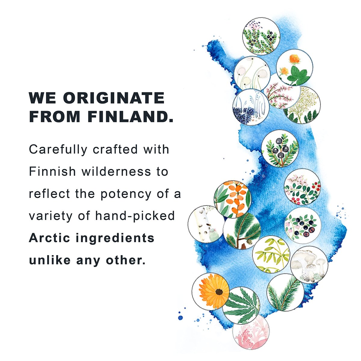 Lumene Nordic Hydra Feuchtigkeitsspendendes Prebiotisches Öl-Cocktail - Nährendes Zweiphasen-Gesichtsöl für trockene Haut & Hautbarriere-Reparatur - Essentielle nordische Mischung & Feuchtigkeitsöl für trockene Haut (30 ml)