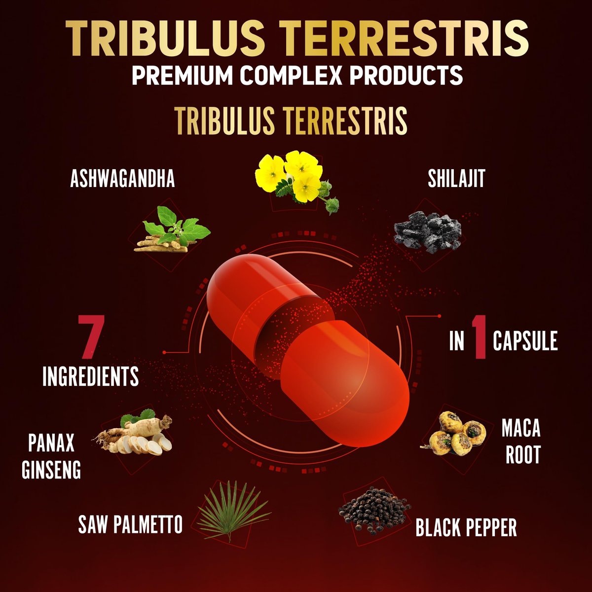 Tribulus Terrestris Komplex mit Ashwagandha, Ginseng, Sägepalme, Maca & Shilajit – 150 Kapseln (5-Monatsvorrat)
