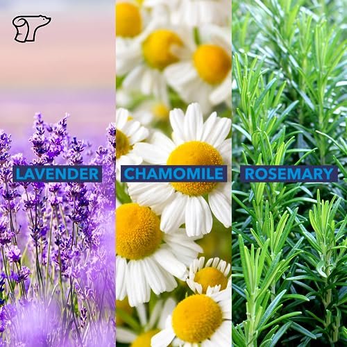 TheraICE Beruhigender Kopf-Stick 10 ml (0,33 oz) – Ätherisches Öl Roll-on zur Aromatherapie für schnelle kühlende Entspannung: Pfefferminze, Grüne Minze, Lavendel, Kamille, Rosmarin, Eukalyptus. Metallroller. Hergestellt in den USA