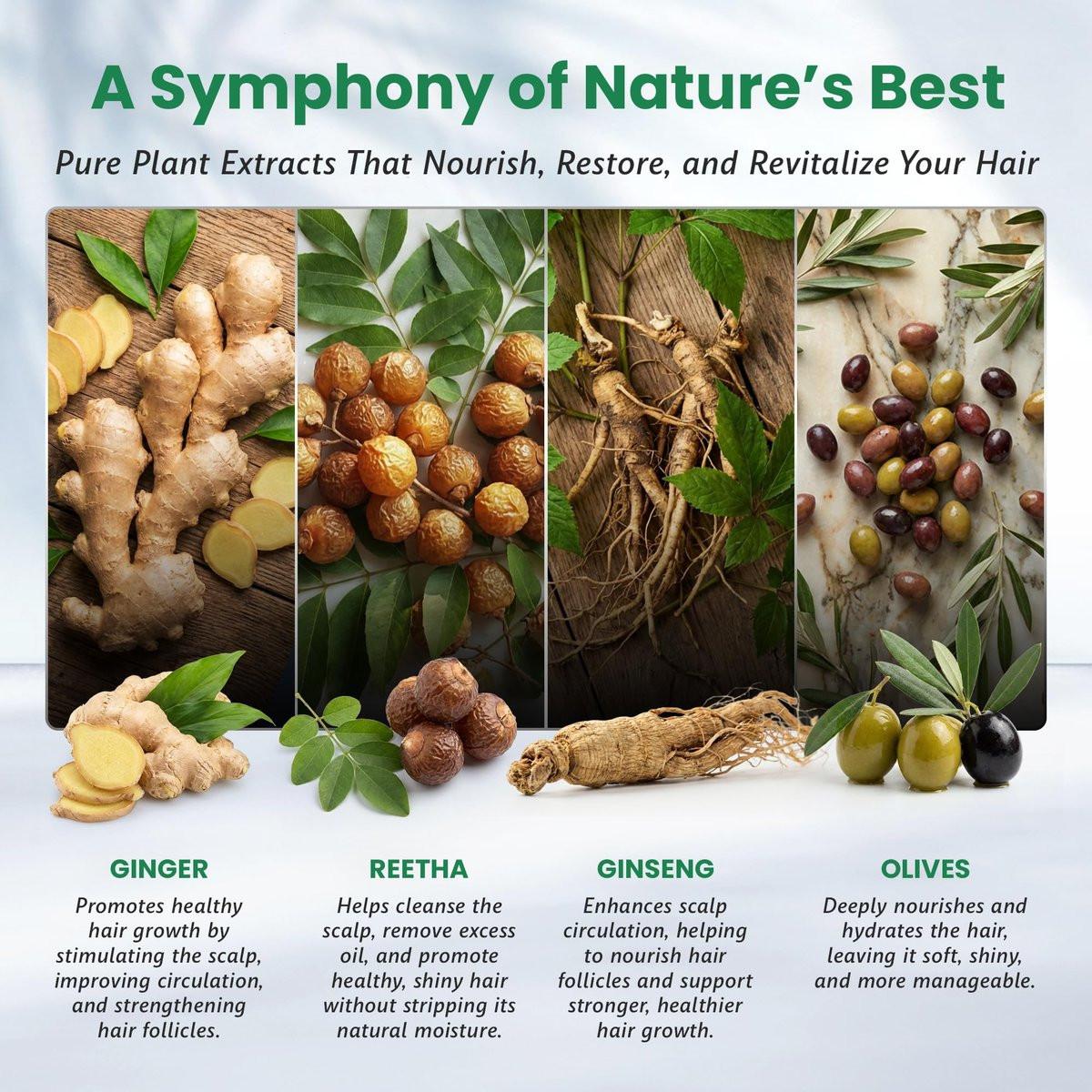 BIOGREEN ROOTS Kräuter-Haar-Shampoo ohne Ammoniak & Parabene – Natürliche Haarfarbe & Pflege für Frauen & Männer – Keine Flecken auf der Haut – Natur Schwarz (400 ml)