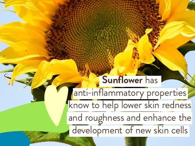 Babo Botanicals Super Shield Mineral Sonnenspray SPF 50 – Natürliches Zinkoxid & Titandioxid – Für extra empfindliche Haut – Wasserbeständig – Vegan – Duftfrei – Druckluftfreies Spray – Für alle Altersgruppen