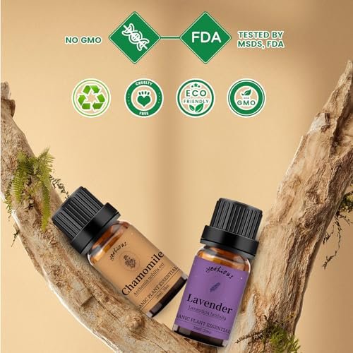 yethious Bio Kamille Lavendel Ätherisches Öl Set – 2x10ml Reine Aromatherapie Öle für Diffuser