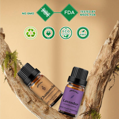 yethious Bio Kamille Lavendel Ätherisches Öl Set – 2x10ml Reine Aromatherapie Öle für Diffuser