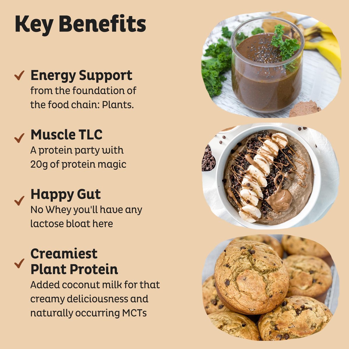 KOS Vegan Proteinpulver, Schokolade Erdnussbutter - Low Carb Erbsenprotein-Mix, USDA Bio Superfood mit Vitaminen & Mineralien - Keto, Soja, Milchfrei - Mahlzeitenersatz für Frauen & Männer - 10 Portionen