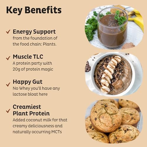 KOS Vegan Proteinpulver, Schokolade Erdnussbutter - Low Carb Erbsenprotein-Mix, USDA Bio Superfood mit Vitaminen & Mineralien - Keto, Soja, Milchfrei - Mahlzeitenersatz für Frauen & Männer - 10 Portionen
