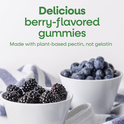 Nature's Way Zink Gummis – Immununterstützung mit 100 % Tagesbedarf pro Gummibärchen, für Erwachsene & Kinder ab 9 Jahren, glutenfrei, pflanzliches Pektin, gemischte Beeren, 120 Gummis