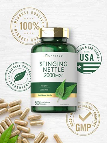 Carlyle Brennnesselblätter Extrakt Kapseln | 300 Kapseln | Kräuterformel | Non-GMO & Glutenfrei