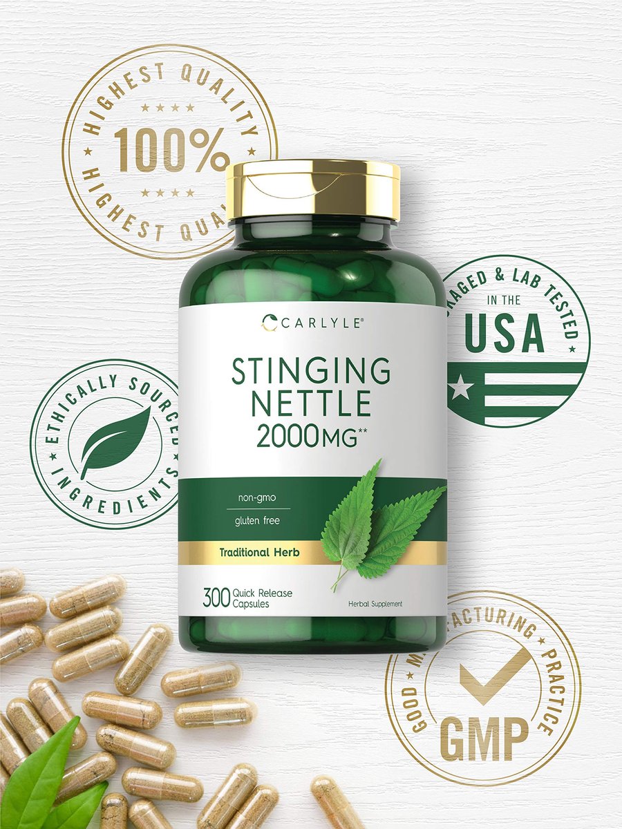 Carlyle Brennnesselblätter Extrakt Kapseln | 300 Kapseln | Kräuterformel | Non-GMO & Glutenfrei