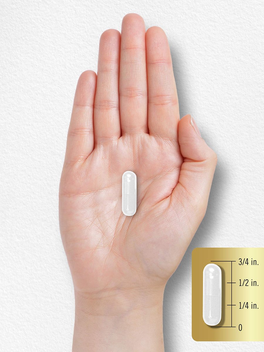 Carlyle L-Glutamin Kapseln | 1500 mg | 240 Stück | Fortschrittliche Athletenformel | Vor und nach dem Training | Non-GMO, glutenfrei