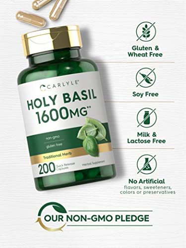 Carlyle Heiliges Basilikum Kapseln | 200 Stück | Tulsi Heiliges Basilikum Blattextrakt | Pflanzliches Nahrungsergänzungsmittel | Non-GMO, Glutenfrei