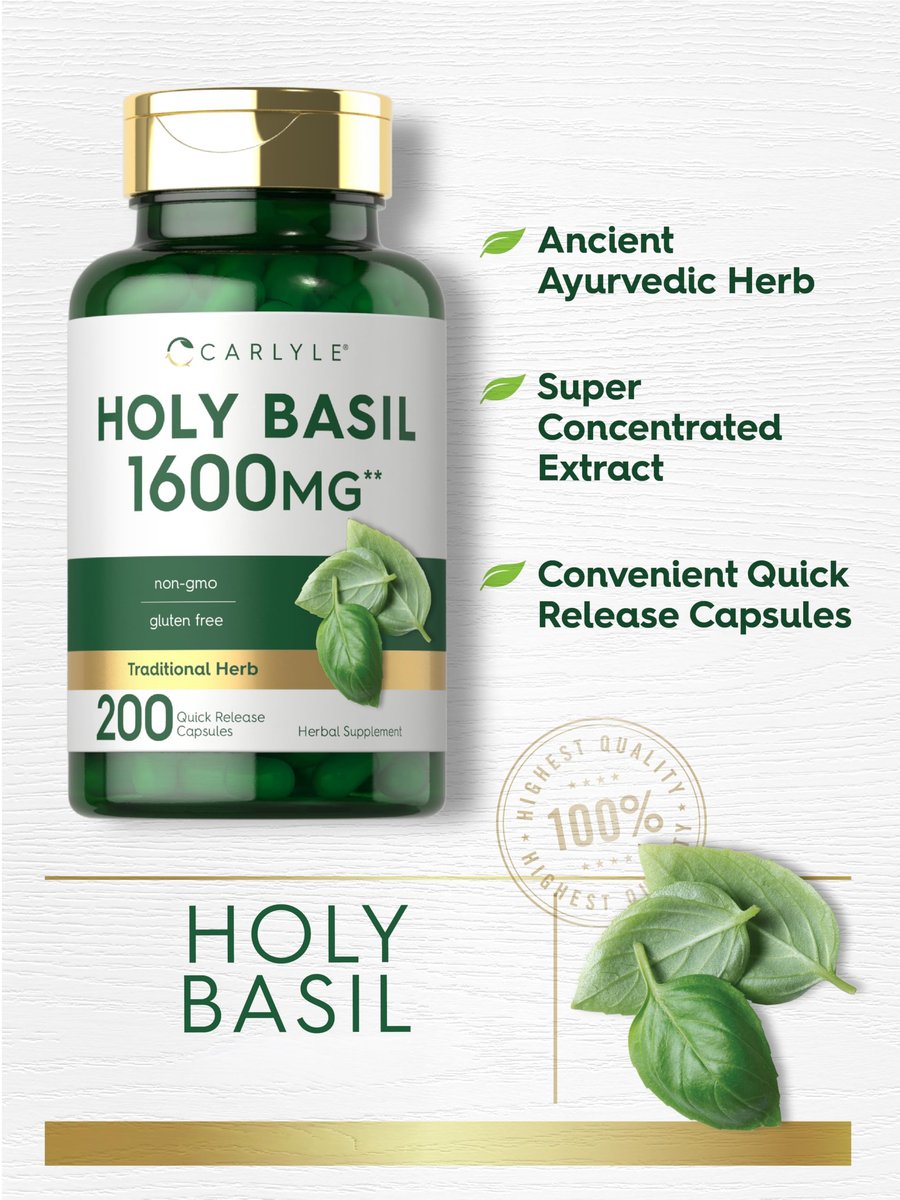 Carlyle Heiliges Basilikum Kapseln | 200 Stück | Tulsi Heiliges Basilikum Blattextrakt | Pflanzliches Nahrungsergänzungsmittel | Non-GMO, Glutenfrei