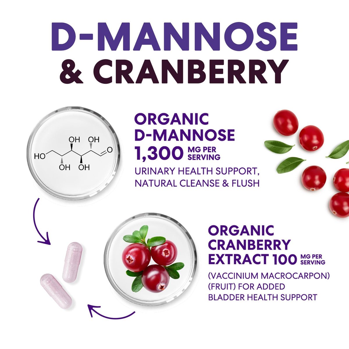 D-Mannose Kapseln – 1.300 mg Bio D-Mannose mit Bio Cranberry Extrakt – Schnelle natürliche Unterstützung für Harnwege & Blase – Für Frauen & Männer – 60 Kapseln