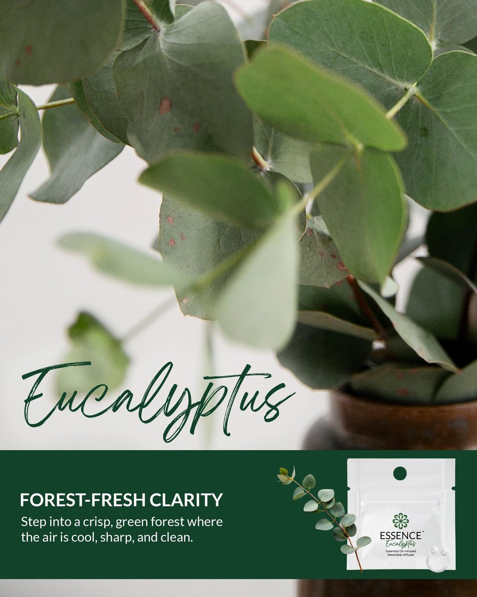 HONÉ Essence Wearable Aromatherapie Nasal Diffuser – Eukalyptus ätherisches Öl Nasenring Silikon Inhalator für Stress & Stimmung – Hergestellt in den USA & Reisefreundlich