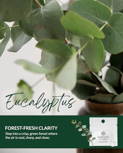 HONÉ Essence Wearable Aromatherapie Nasal Diffuser – Eukalyptus ätherisches Öl Nasenring Silikon Inhalator für Stress & Stimmung – Hergestellt in den USA & Reisefreundlich