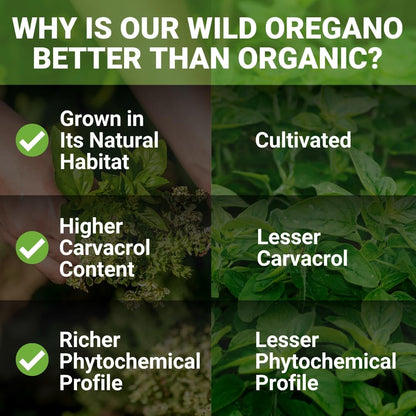 NEW ROOTS HERBAL | Wildes Oreganoöl Tropfen - (547 Portionen) | Oreganoöl Extrakt mit 93 % Carvacrol (30 ml), Nicht-GVO
