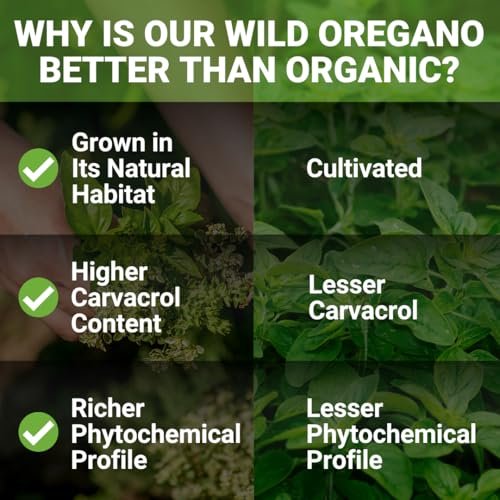 NEW ROOTS HERBAL | Wildes Oreganoöl Tropfen - (547 Portionen) | Oreganoöl Extrakt mit 93 % Carvacrol (30 ml), Nicht-GVO