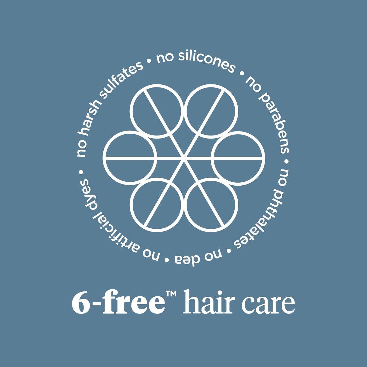 Briogeo Scalp Revival Aktivkohle + Teebaum Kühlende Feuchtigkeitsmaske für die Kopfhaut | Wöchentliche Kopfhautbehandlung bei Trockenheit, Schuppen oder Juckreiz | Entgiftend & Feuchtigkeitsspendend | Vegan & Tierversuchsfrei | 177 ml